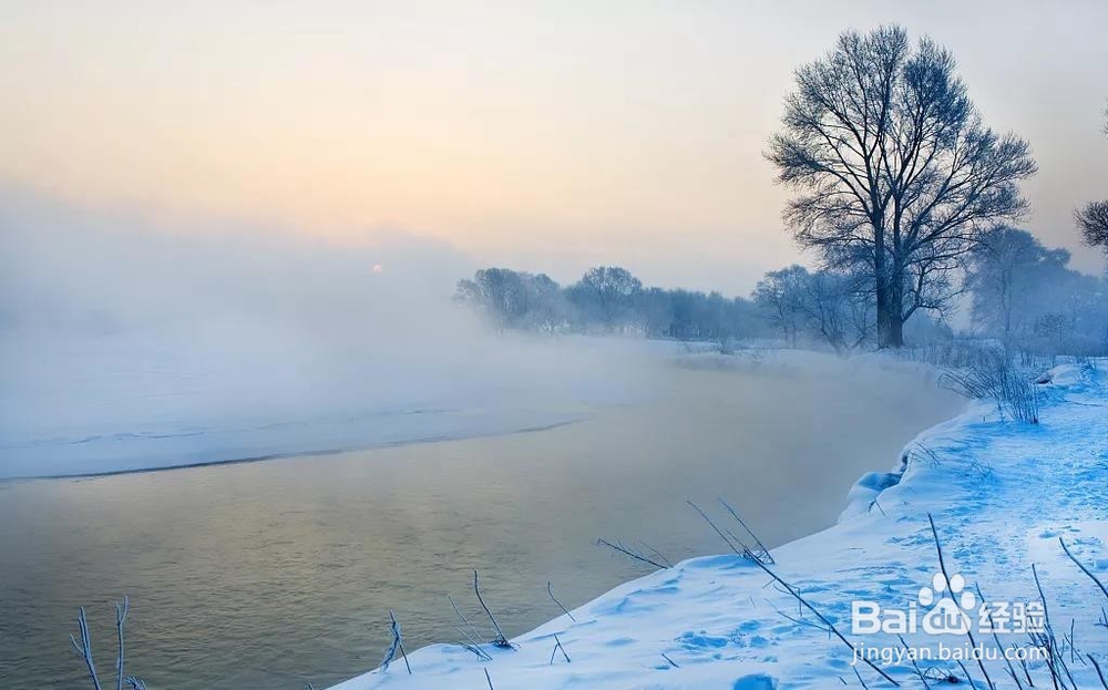 立冬——天气冷了给家人多一点“艾”