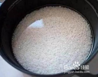 夏季养生食谱----紫菜鱼肉粥