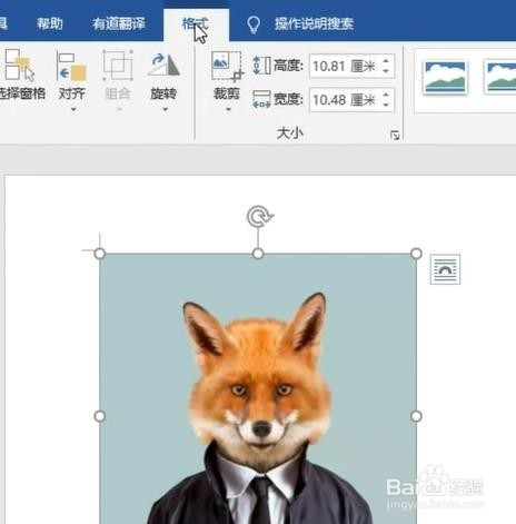 word如何裁剪照片？