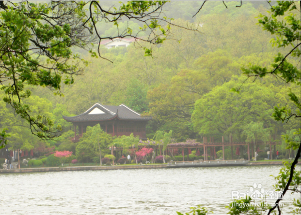 春天怎么选择合适的旅游景点