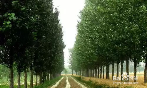 如何做到完美的护肤