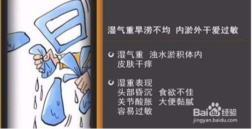 薏葛粉是到底是什么? 原材料是哪些
