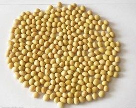 怎么吃五谷才有养生效果