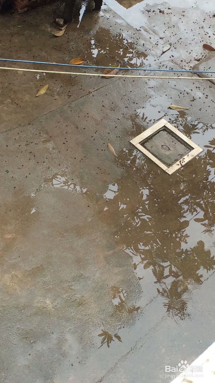 冬天洗鞋子怎么快速干