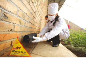 养殖场怎样灭鼠