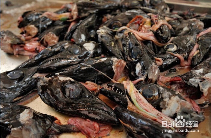 颠覆传统美味定义，盘点全球10大重口味美食