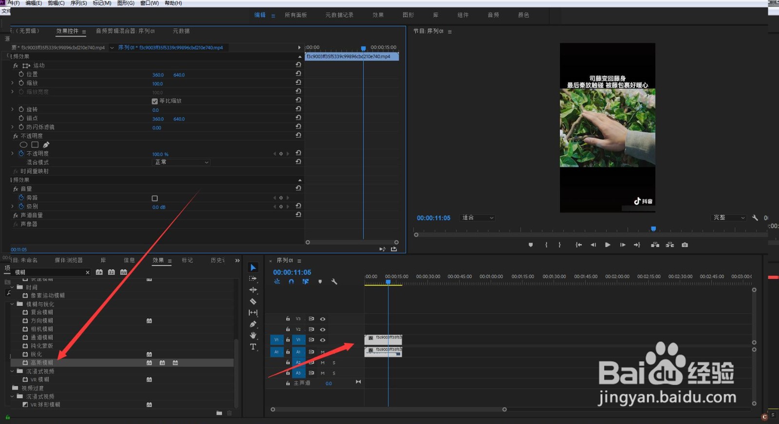 什么软件能去掉视频上的水印