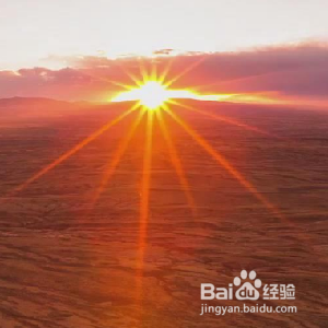 完成语文读后感的六个步骤