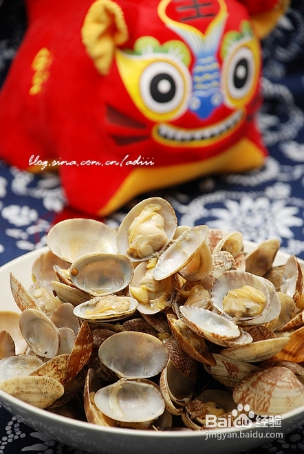 【清炒花蛤】平民化小海鲜的家庭简单做法(附清理花蛤窍门)