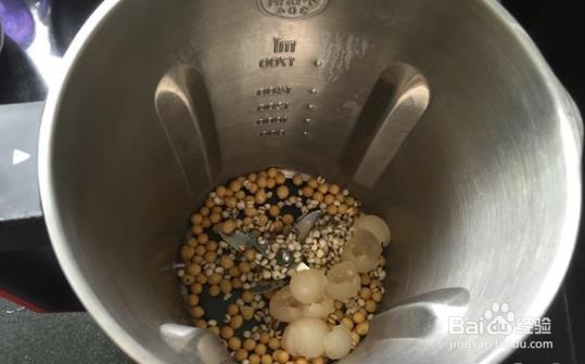 桂圆薏米豆浆的做法