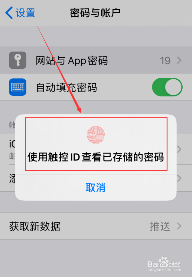苹果手机怎么查看已存储的网站和app密码