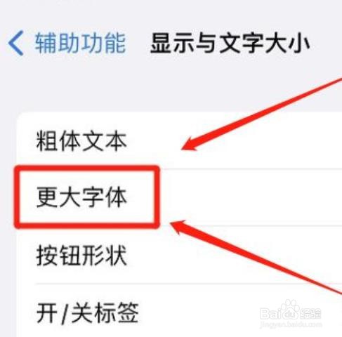 怎么设置iphone更大的辅助字体?