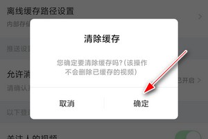 如何清除搜狐视频的缓存文件