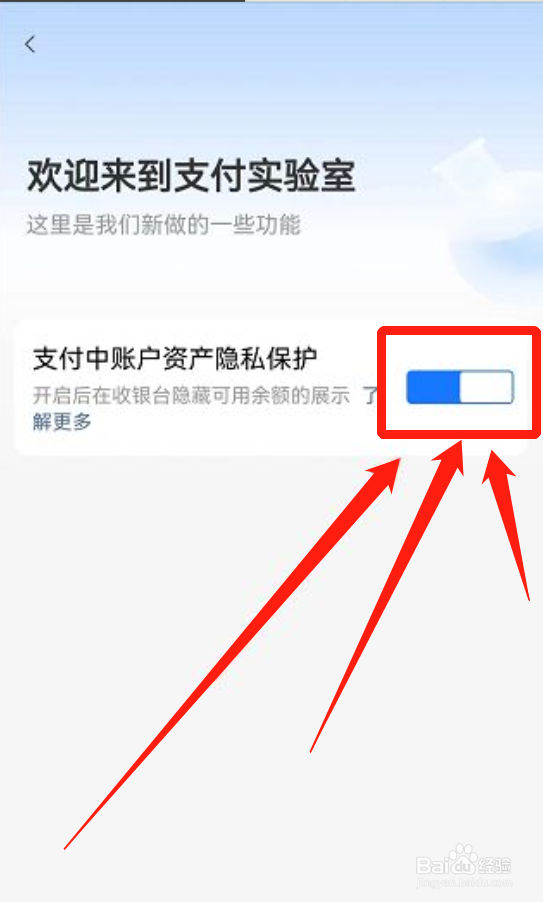 支付宝如何打开资产隐私保护功能