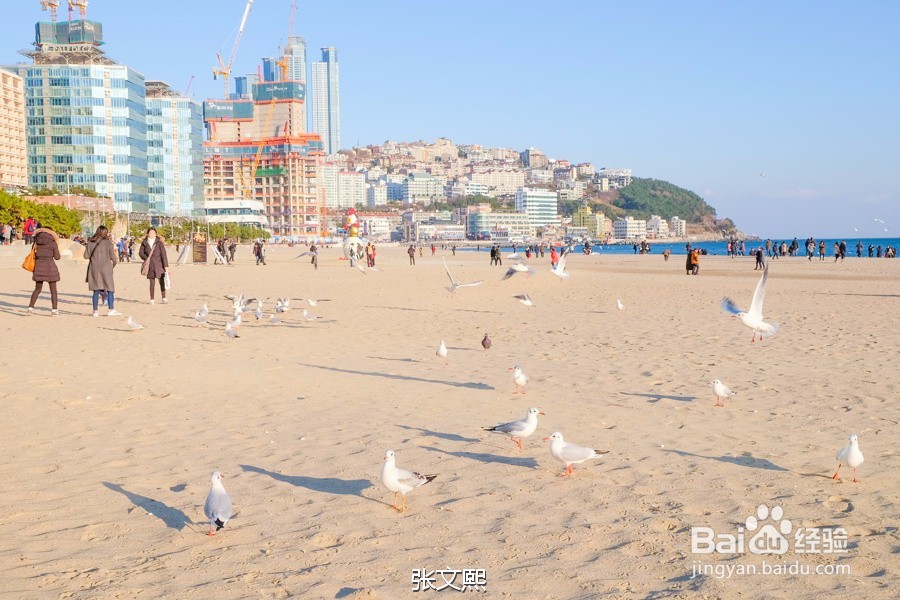 吃喝玩乐海云台，冬天的釜山行