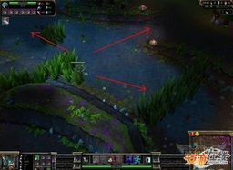 lol五个要点,让你不再是小学生