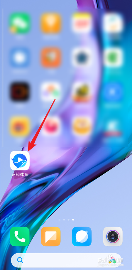 蓝鲸体育如何允许在移动网络环境播放