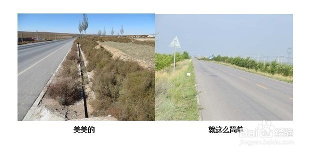 Word文档中如何将多张图片整齐排列固定在表格中