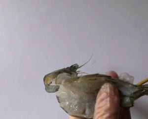 教你做陈皮糖醋烤大虾