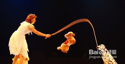 训练狗排泄的十大方法