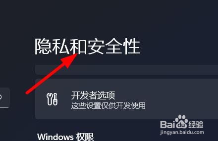 Windows11如何打开隐私和安全性