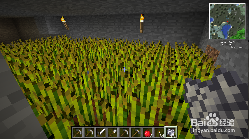 我的世界怎么生存上