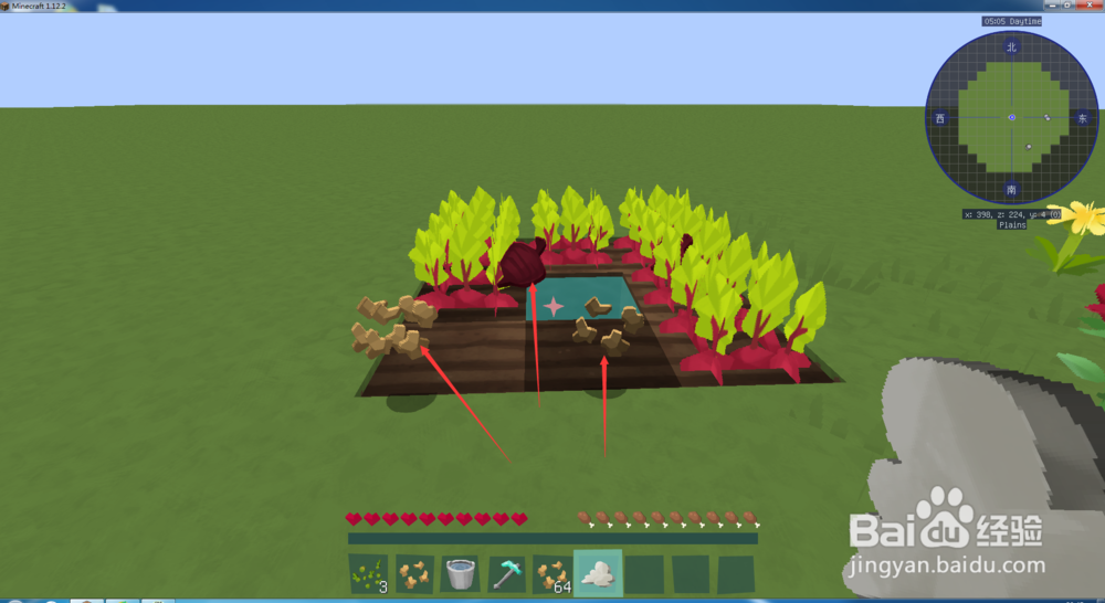 我的世界甜菜怎么获得和种植