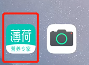 如何查看薄荷健康APP商务合作联系方式
