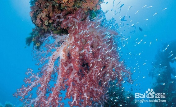 如何快乐的学习和工作!