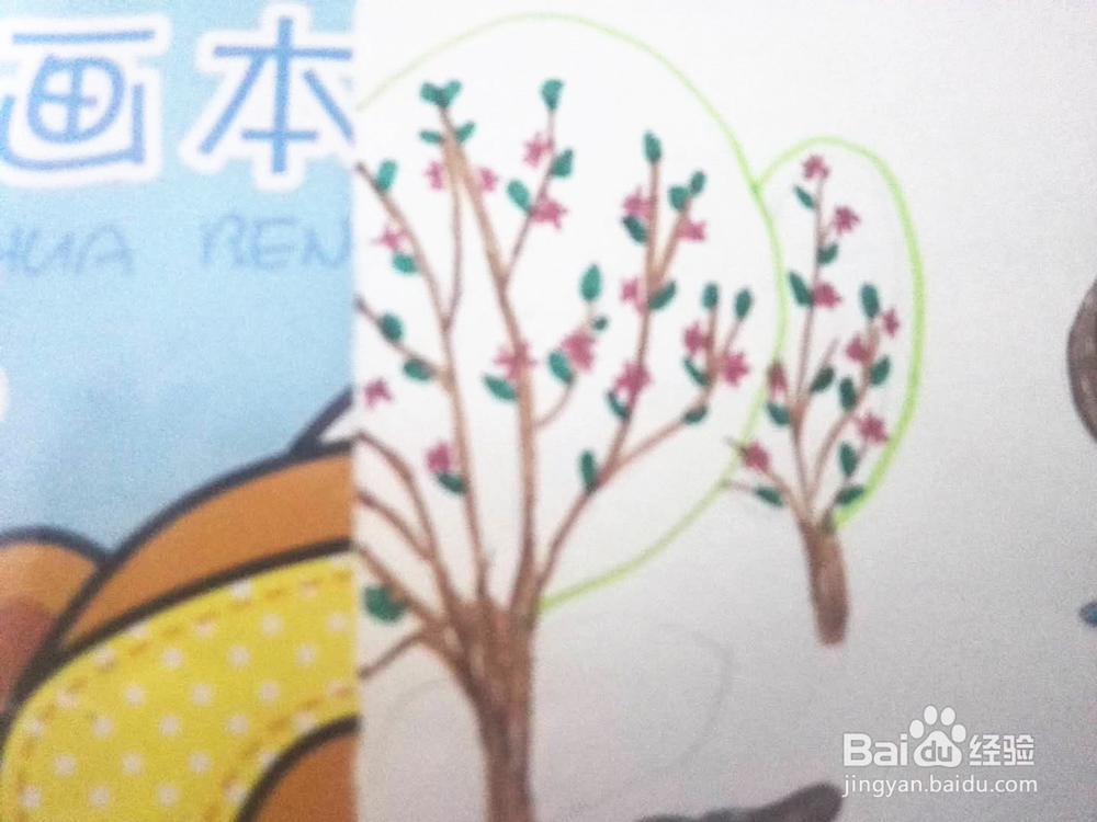 春树开花的彩笔画分享