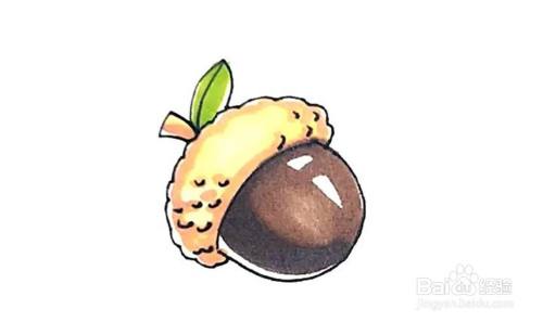 如何画橡果的卡通简笔画教程