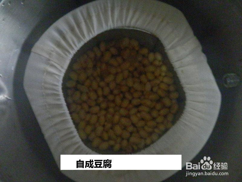 自成豆腐的做法