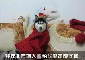 寒潮来袭，你抱着的电暖宝可能是“炸弹”！