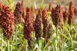 轻松解决便秘问题