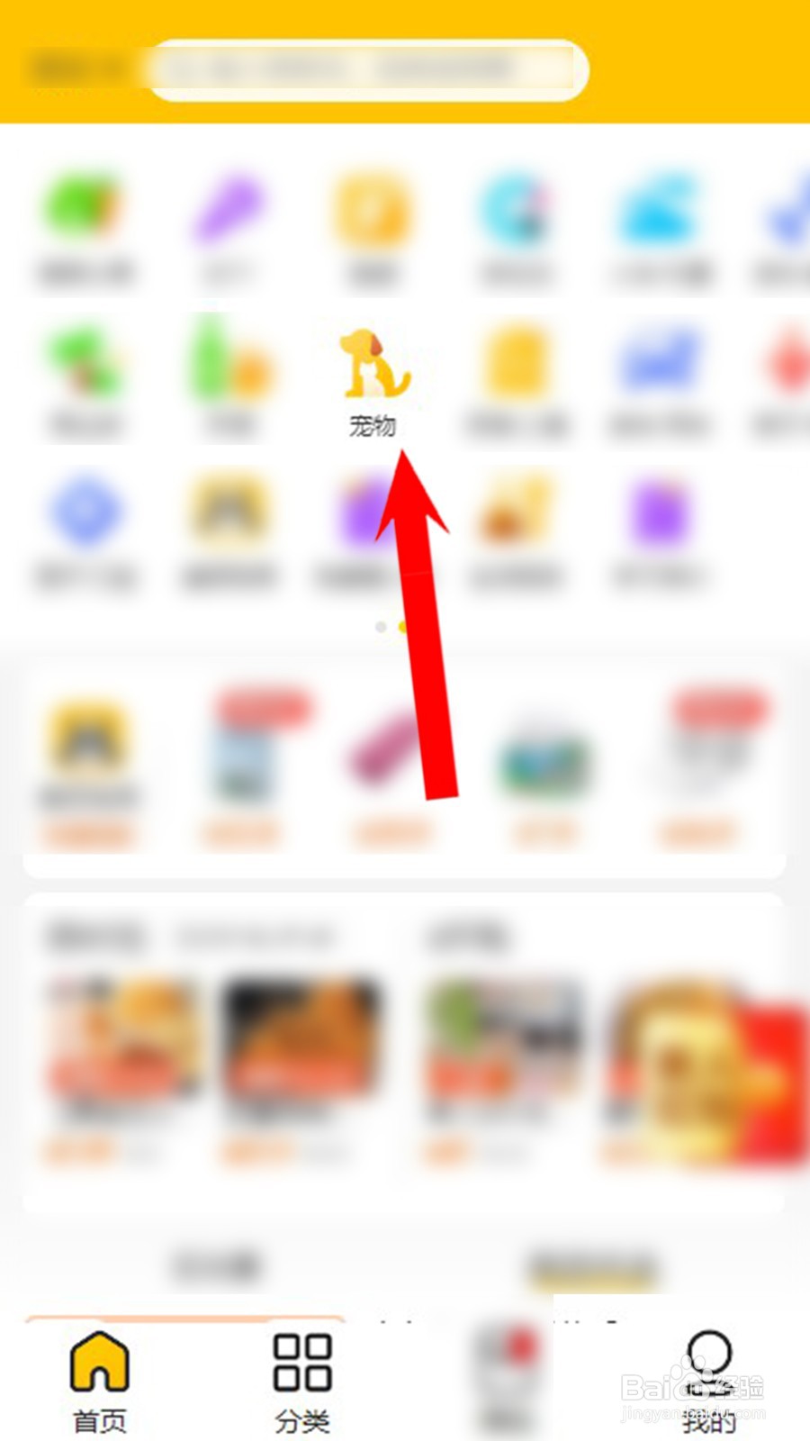 猫咪耳朵流血了以后怎么办?