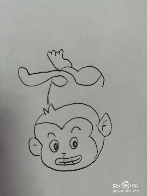 倒立的小猴子怎么画