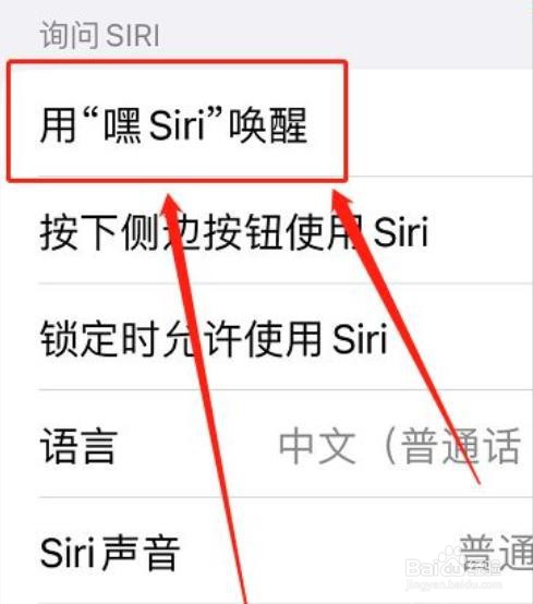 苹果13怎么打开siri语音助手?