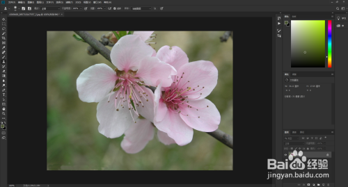 ps教程图片去水印的方法如何去水印