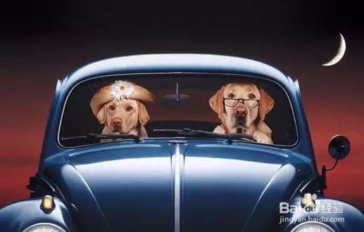 开长途车的注意事项