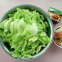 分享冒三鲜白菜肉炖粉条的做法步骤
