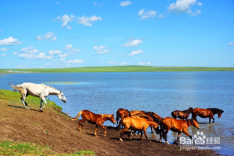 哈尔滨、海拉尔、满洲里、红石六日游行程