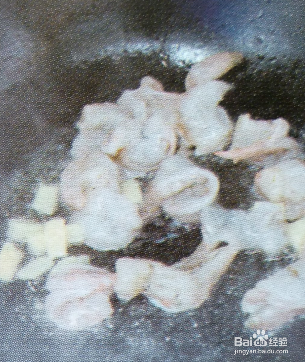 彩色虾球的做法