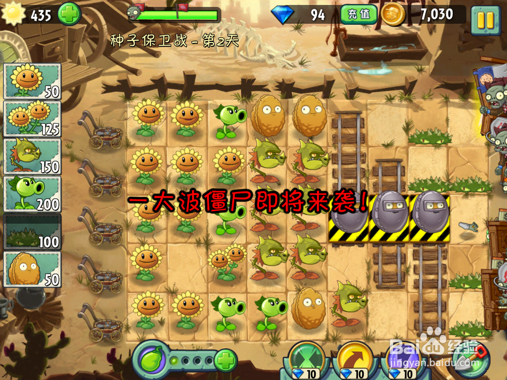 植物大战僵尸2 狂野西部 种子保卫战 第二天