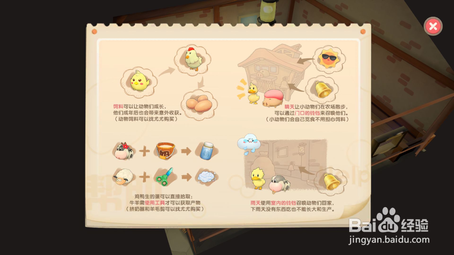 摩尔庄园怎样饲养小鸡