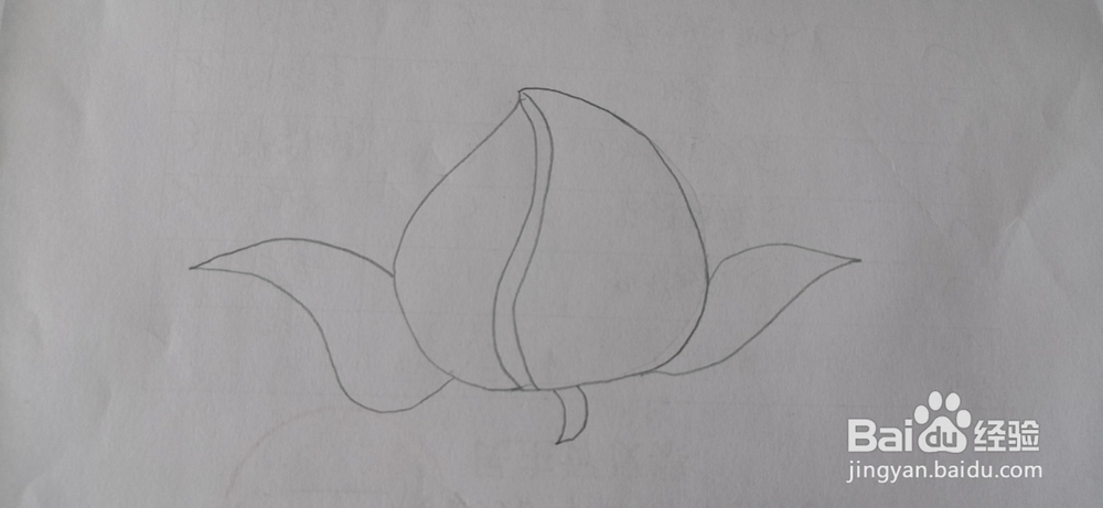 如何画寿桃简笔画？