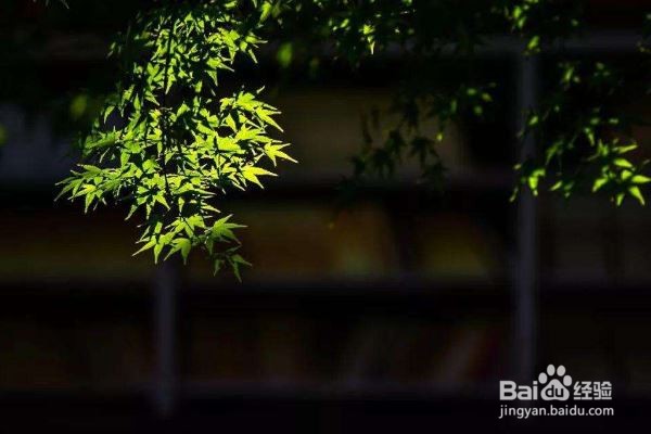 怎样才能做到君子之交淡如水