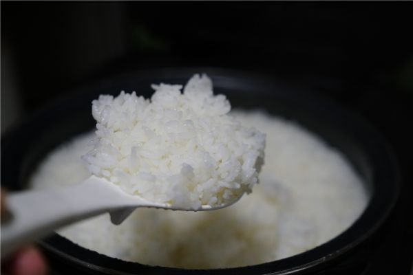 肉丁榨辣椒盖饭