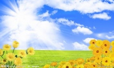 怎样写一份合格的实践报告