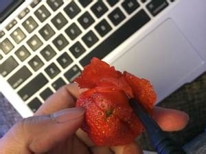 食补佳品草莓玫瑰花的做法