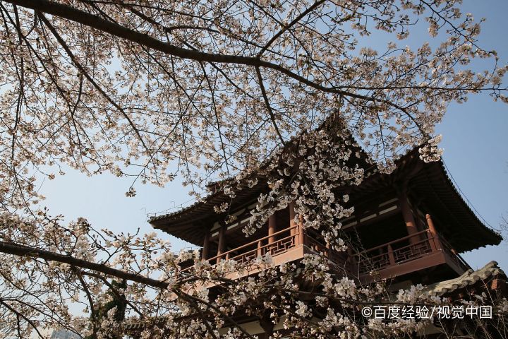 平谷梨树沟一日游攻略